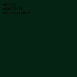 #042313 - English Holly Color Image