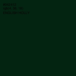 #042412 - English Holly Color Image