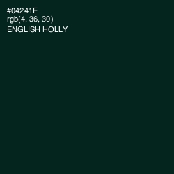 #04241E - English Holly Color Image