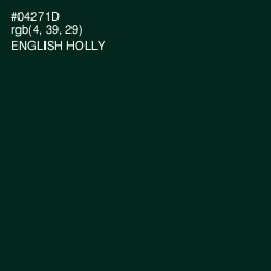 #04271D - English Holly Color Image