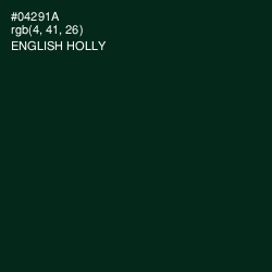 #04291A - English Holly Color Image