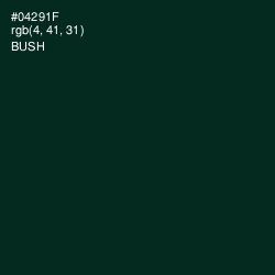 #04291F - Bush Color Image