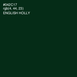 #042C17 - English Holly Color Image