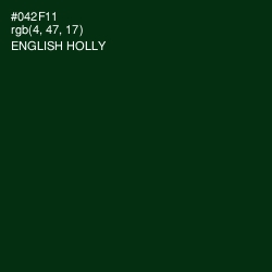 #042F11 - English Holly Color Image