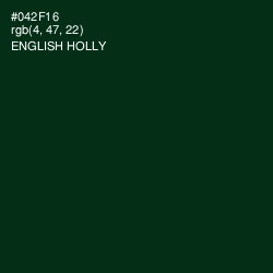 #042F16 - English Holly Color Image