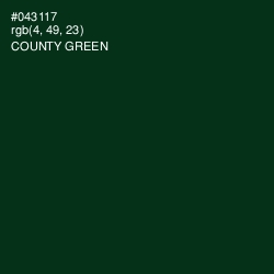 #043117 - County Green Color Image