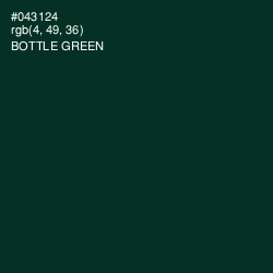 #043124 - Bottle Green Color Image