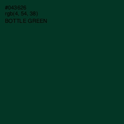 #043626 - Bottle Green Color Image