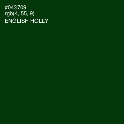 #043709 - English Holly Color Image