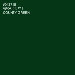 #043715 - County Green Color Image