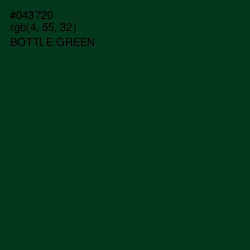 #043720 - Bottle Green Color Image