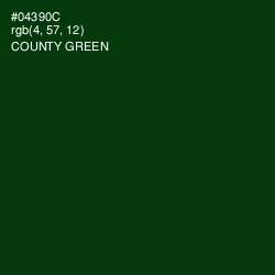#04390C - County Green Color Image