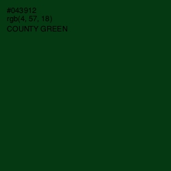 #043912 - County Green Color Image