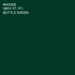 #043929 - Bottle Green Color Image