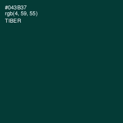 #043B37 - Tiber Color Image