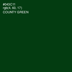 #043C11 - County Green Color Image