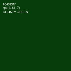 #043D07 - County Green Color Image