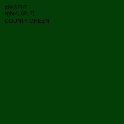 #043E07 - County Green Color Image