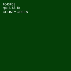 #043F08 - County Green Color Image