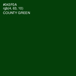 #043F0A - County Green Color Image