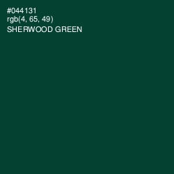 #044131 - Sherwood Green Color Image