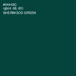 #04443C - Sherwood Green Color Image