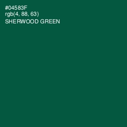 #04583F - Sherwood Green Color Image