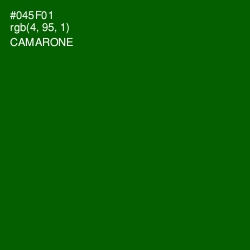 #045F01 - Camarone Color Image