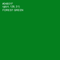 #04801F - Forest Green Color Image