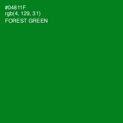 #04811F - Forest Green Color Image