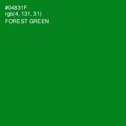 #04831F - Forest Green Color Image