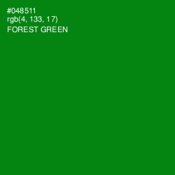 #048511 - Forest Green Color Image