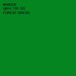 #048520 - Forest Green Color Image