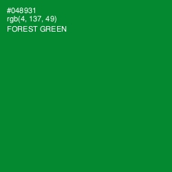 #048931 - Forest Green Color Image