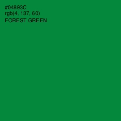 #04893C - Forest Green Color Image