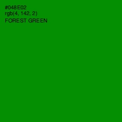 #048E02 - Forest Green Color Image