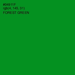 #04911F - Forest Green Color Image