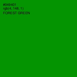 #049401 - Forest Green Color Image