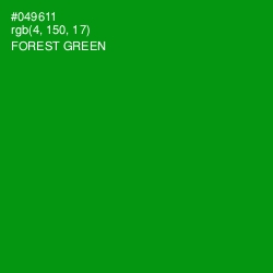 #049611 - Forest Green Color Image