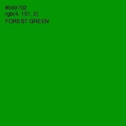 #049702 - Forest Green Color Image