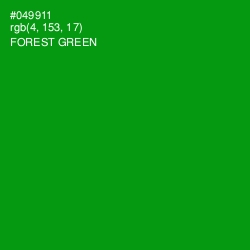 #049911 - Forest Green Color Image