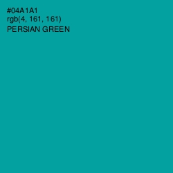 #04A1A1 - Persian Green Color Image