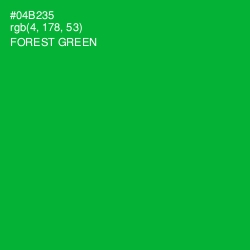 #04B235 - Forest Green Color Image