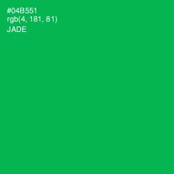 #04B551 - Jade Color Image