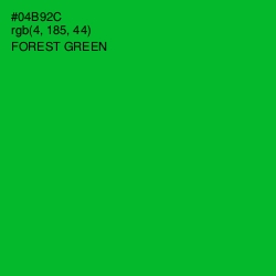 #04B92C - Forest Green Color Image