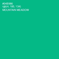 #04B986 - Mountain Meadow Color Image