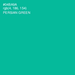 #04BA9A - Persian Green Color Image