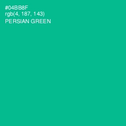 #04BB8F - Persian Green Color Image
