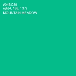 #04BC89 - Mountain Meadow Color Image