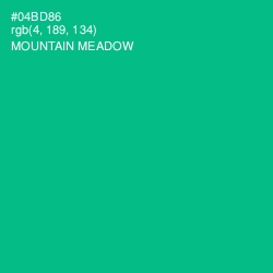 #04BD86 - Mountain Meadow Color Image